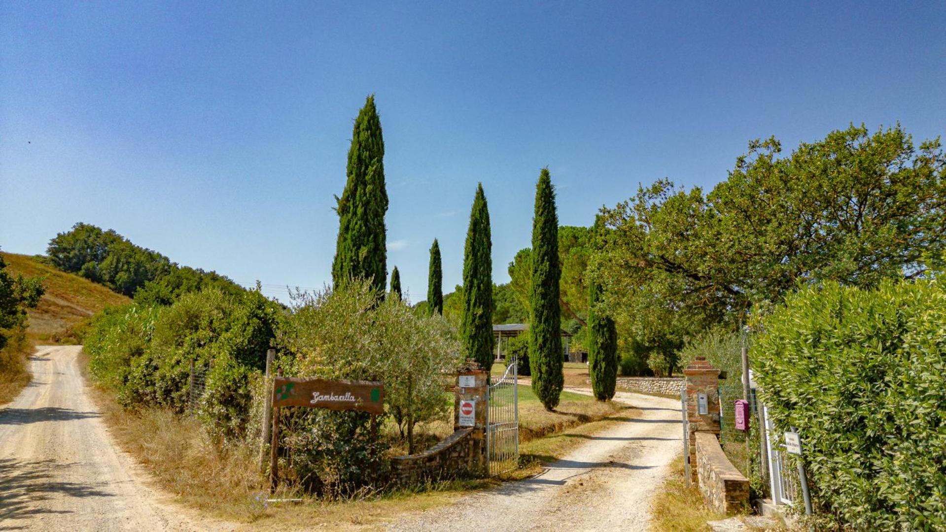 Apartamento Ulivo-Chianti Charming Flat With Private Parking! Asciano Exterior foto